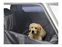 польза перевозки собаки в машине, основы